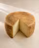 Pecorino Toscano DOP stagionato